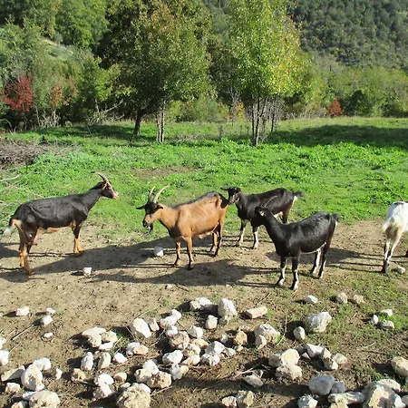 农家乐 Agriturismo Il Piano Vallo di Nera