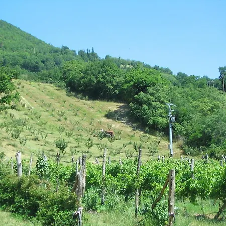 Agriturismo Il Piano