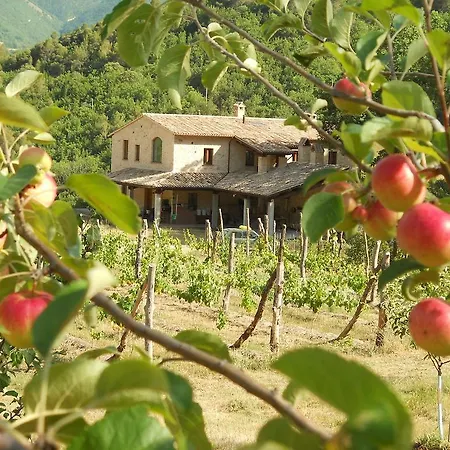 农家乐 Agriturismo Il Piano *